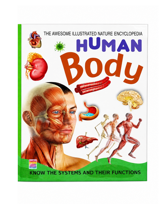 Human Body